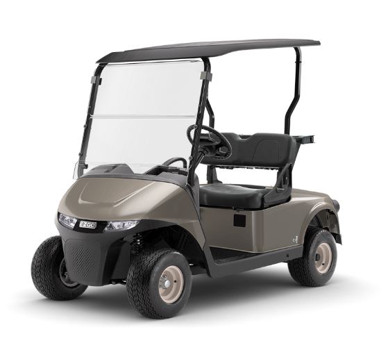 Picture of EZGO RXV Freedom Gas EX1 EFI Sample, Factory Order 97 - 254rxvgasex1