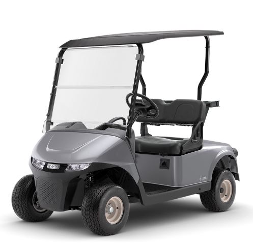 EZGO RXV ELiTE FREEDOM 5979058