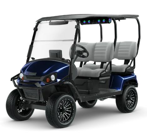 Picture of EZGO Liberty ON ORDER - ARRIVING SOON - 12681838