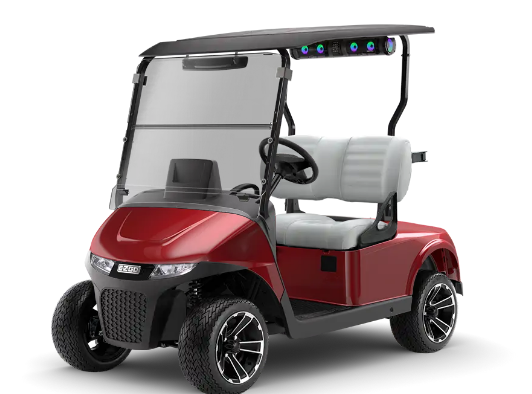 Picture of EZGO RXV2P Freedom Elite 5932354