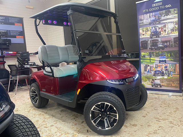 Picture of EZGO RXV2P Freedom Elite 5939041