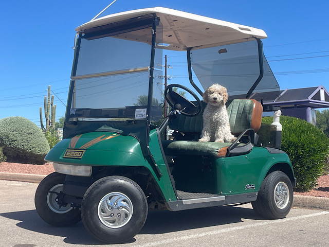 EZGO TXT 1096489