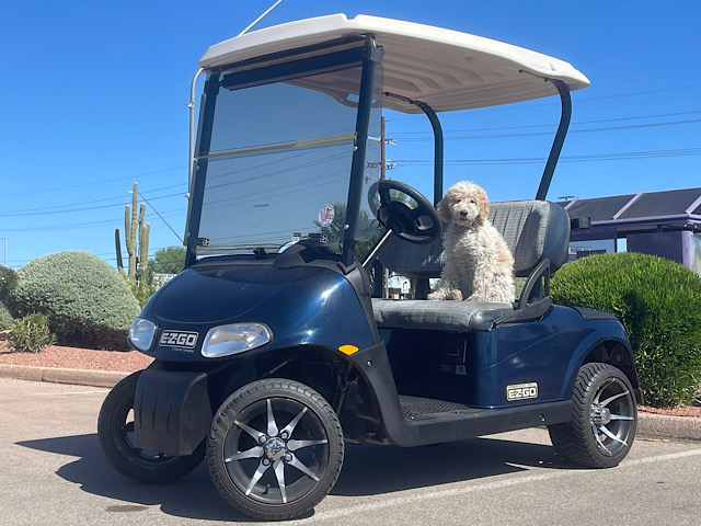EZGO RXV FREEDOM ELECTRIC 5127973