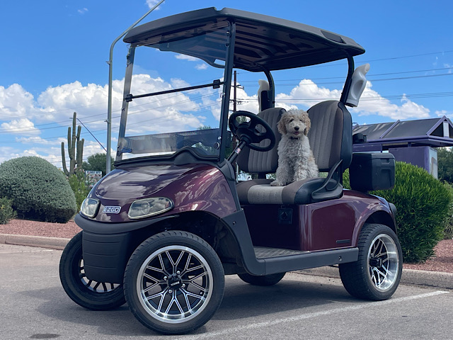 Picture of E-Z-GO RXV Freedom ELiTE 5706362 - (r1)