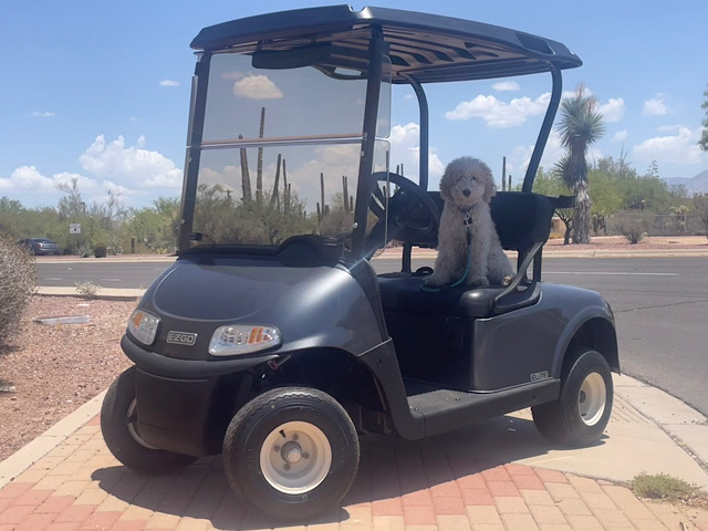 EZGO RXV Freedom Elite 5575564