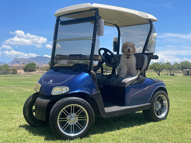 E-Z-GO RXV FREEDOM ELECTRIC 5013828