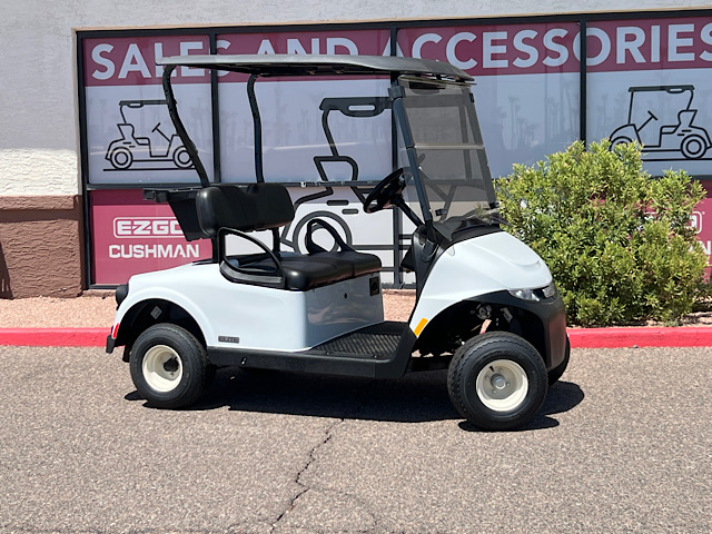 EZGO RXV ELiTE FREEDOM 5978981