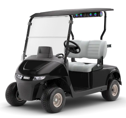 EZGO RXV ELiTE FREEDOM 5950344
